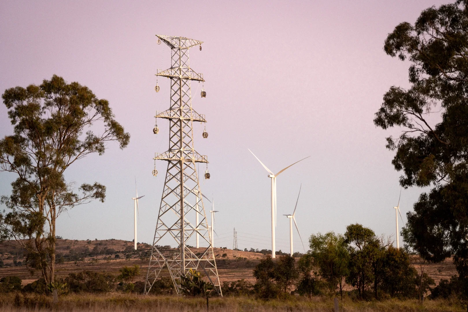 Transmission infrastructure and wind turbines in a rural Australian landscape